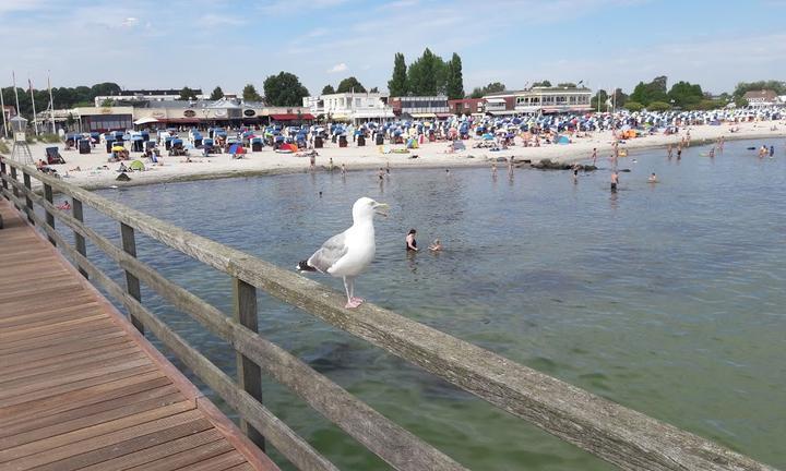 Strandspeiserei & Palmenterrasse